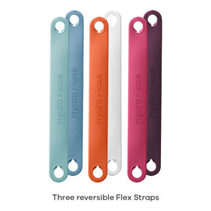 Hydro Flask Flex Strap Pack Small Southwest