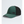 The North Face Summer Lt Trucker Duck Green
