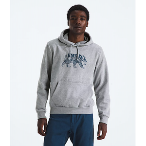 The North Face Mens Evolution Tnf Bear Hoodie-graphic TNF Pale Grey Heather