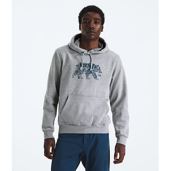 The North Face Mens Evolution Tnf Bear Hoodie-graphic TNF Pale Grey Heather