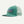 Patagonia P-6 Logo Lopro Trucker Hat Heartleaf Green