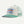Patagonia Trucker Hat Heartleaf Green