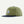 Patagonia Range Cap Buckhorn Green